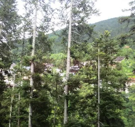 Studio Tres Bien Situe A St-gervais-les-bains 84936 * Saint-Gervais-les-Bains